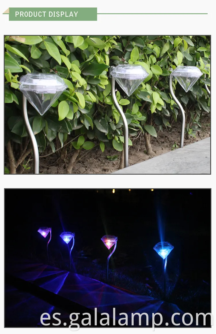Vibrantes luces LED impermeables con energía solar para decoración del jardín